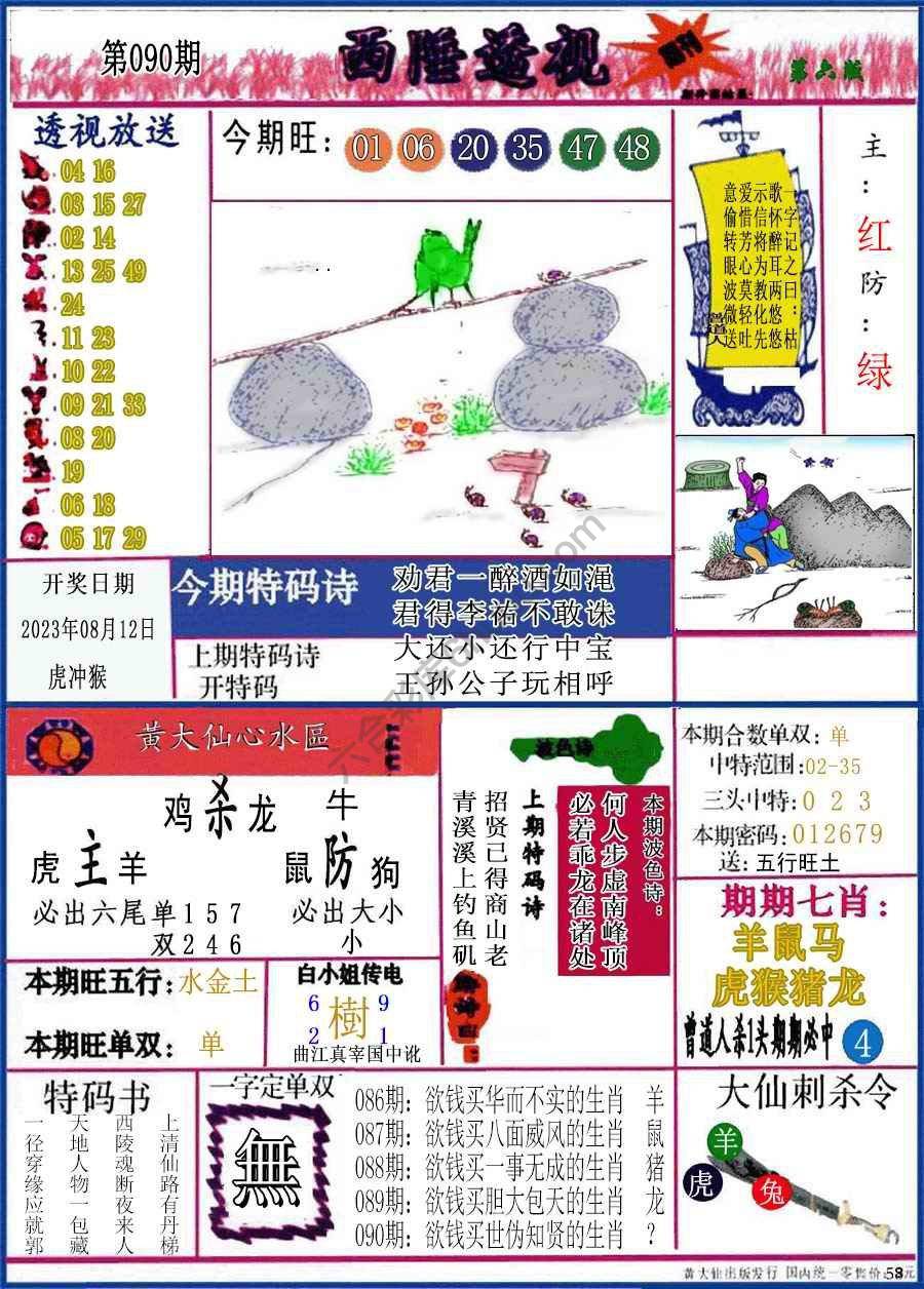 西陲透视（正版）