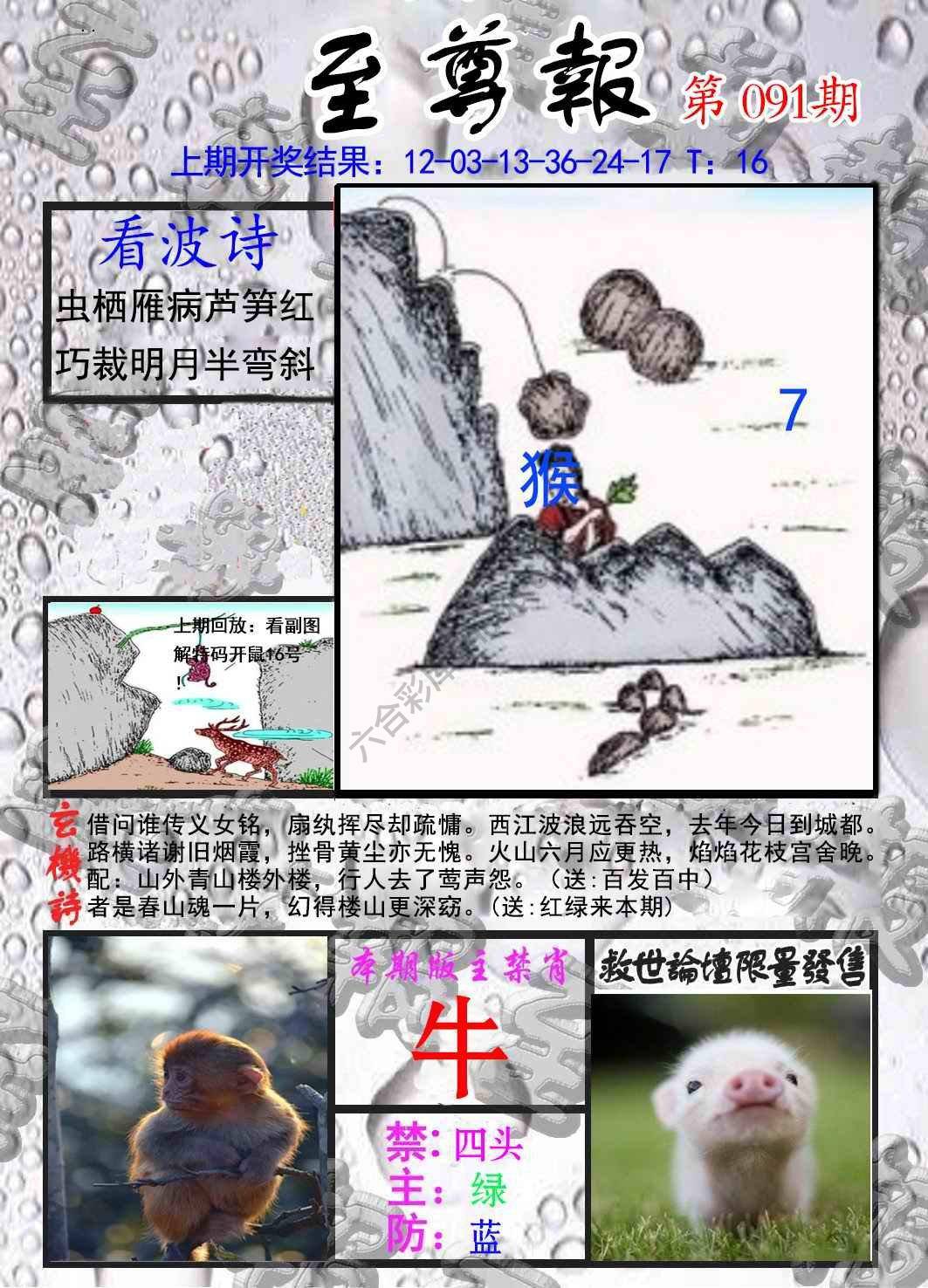 至尊报