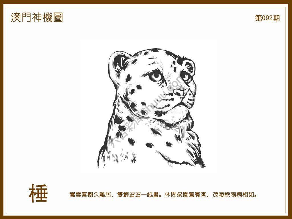 澳门神机图