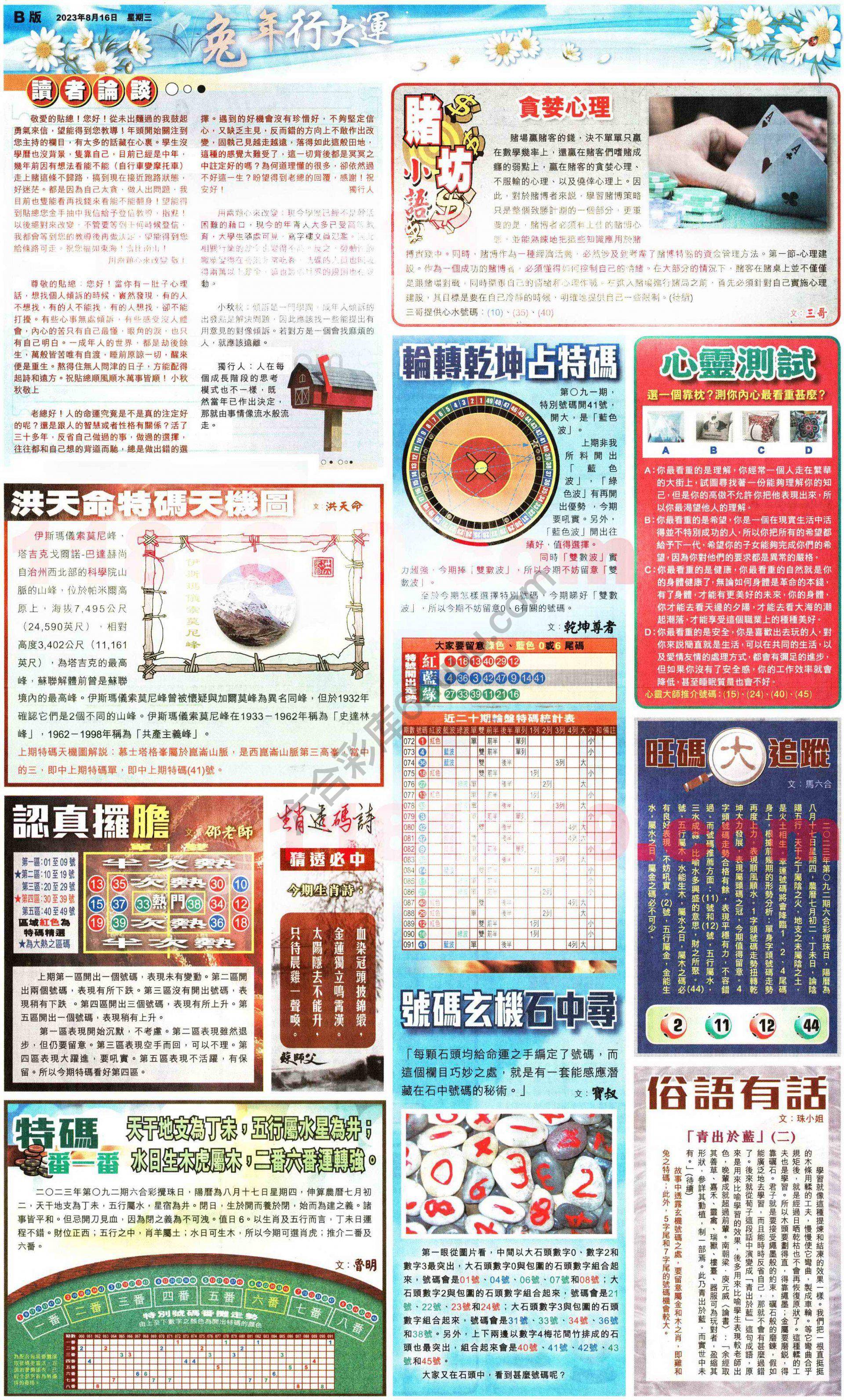 大版贴士皇