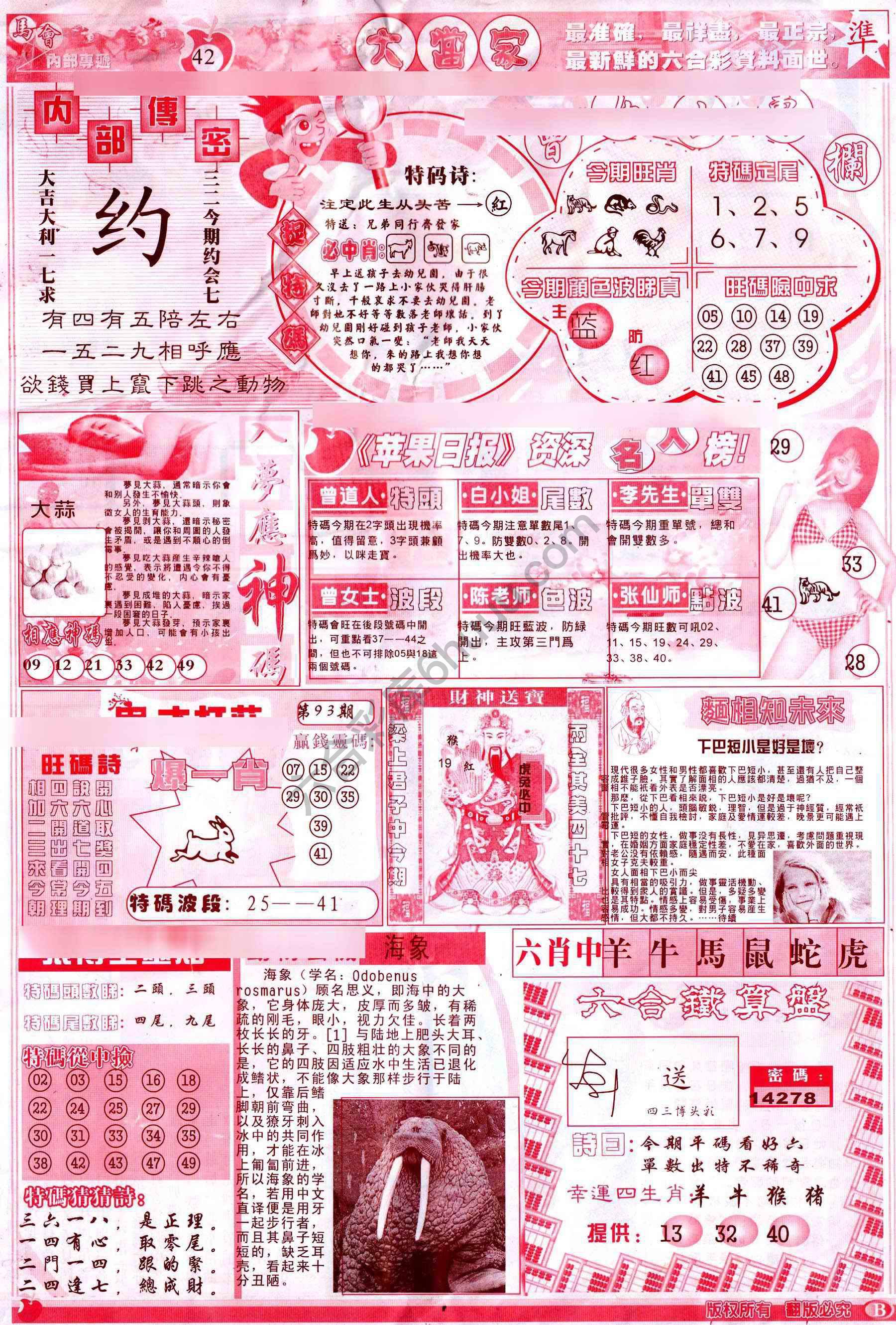 大当家