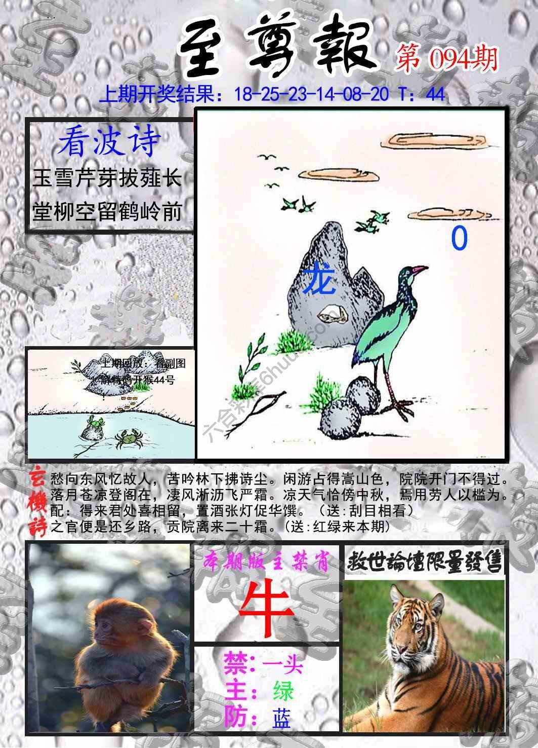 至尊报