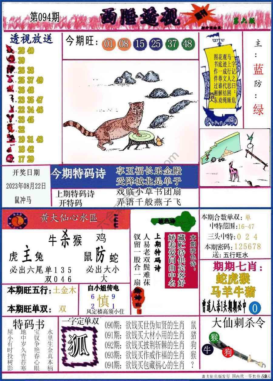 西陲透视（正版）