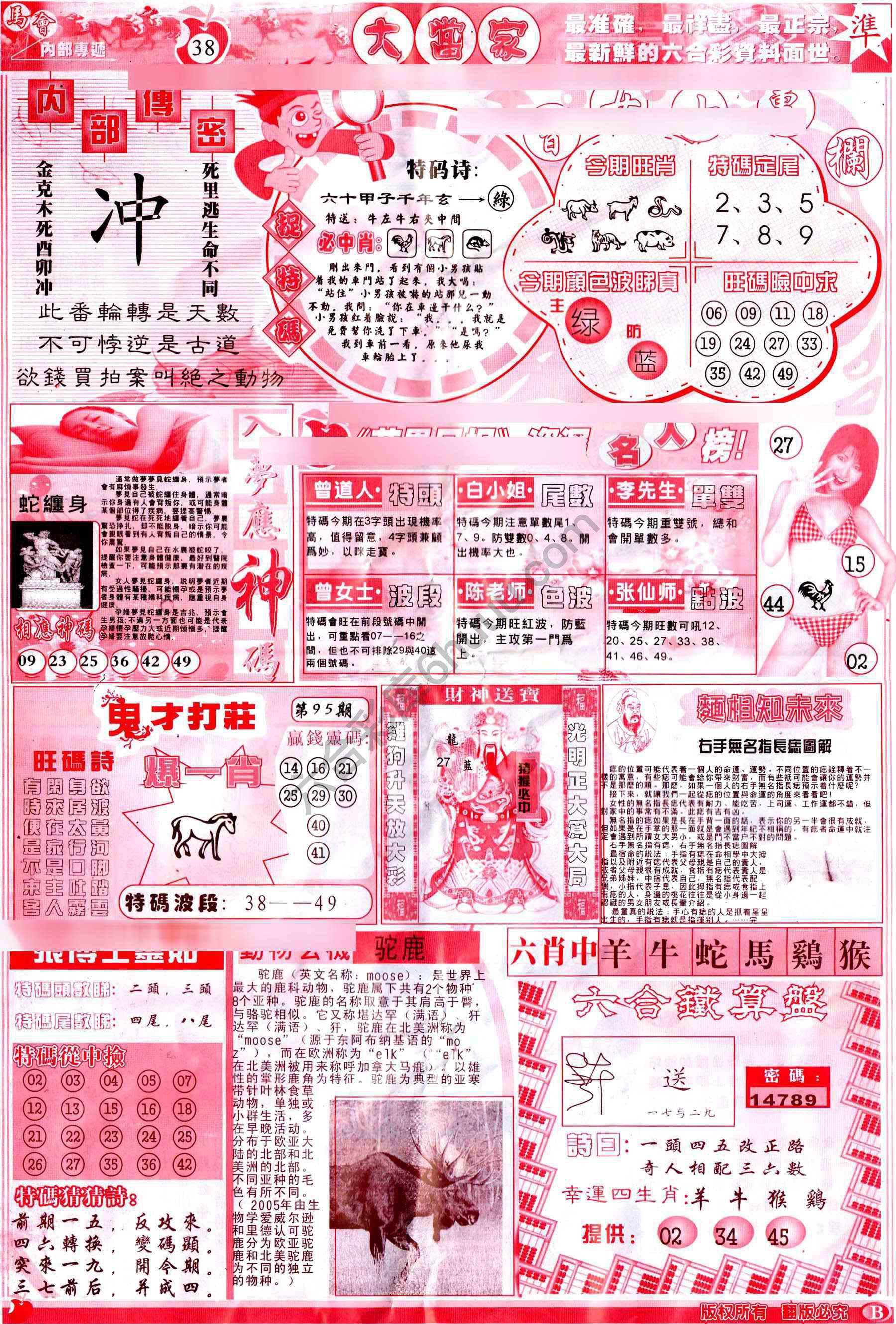 大当家