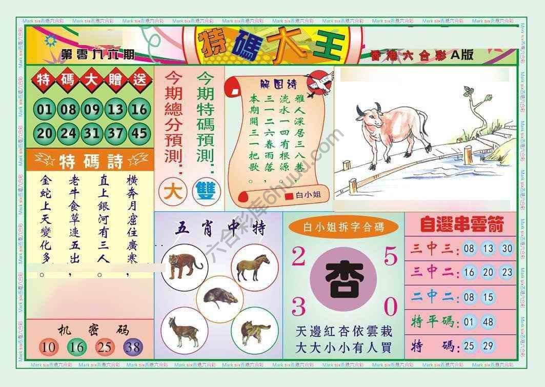 特码大王