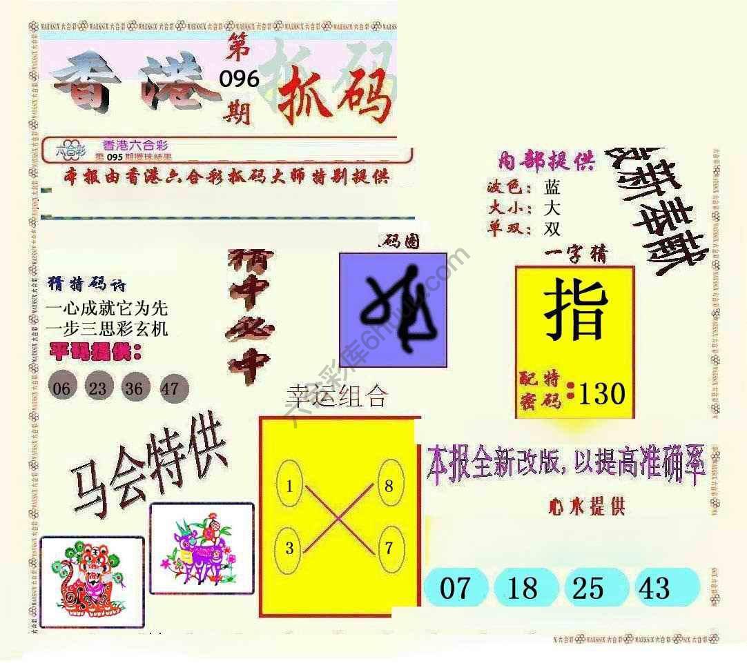 新抓码王