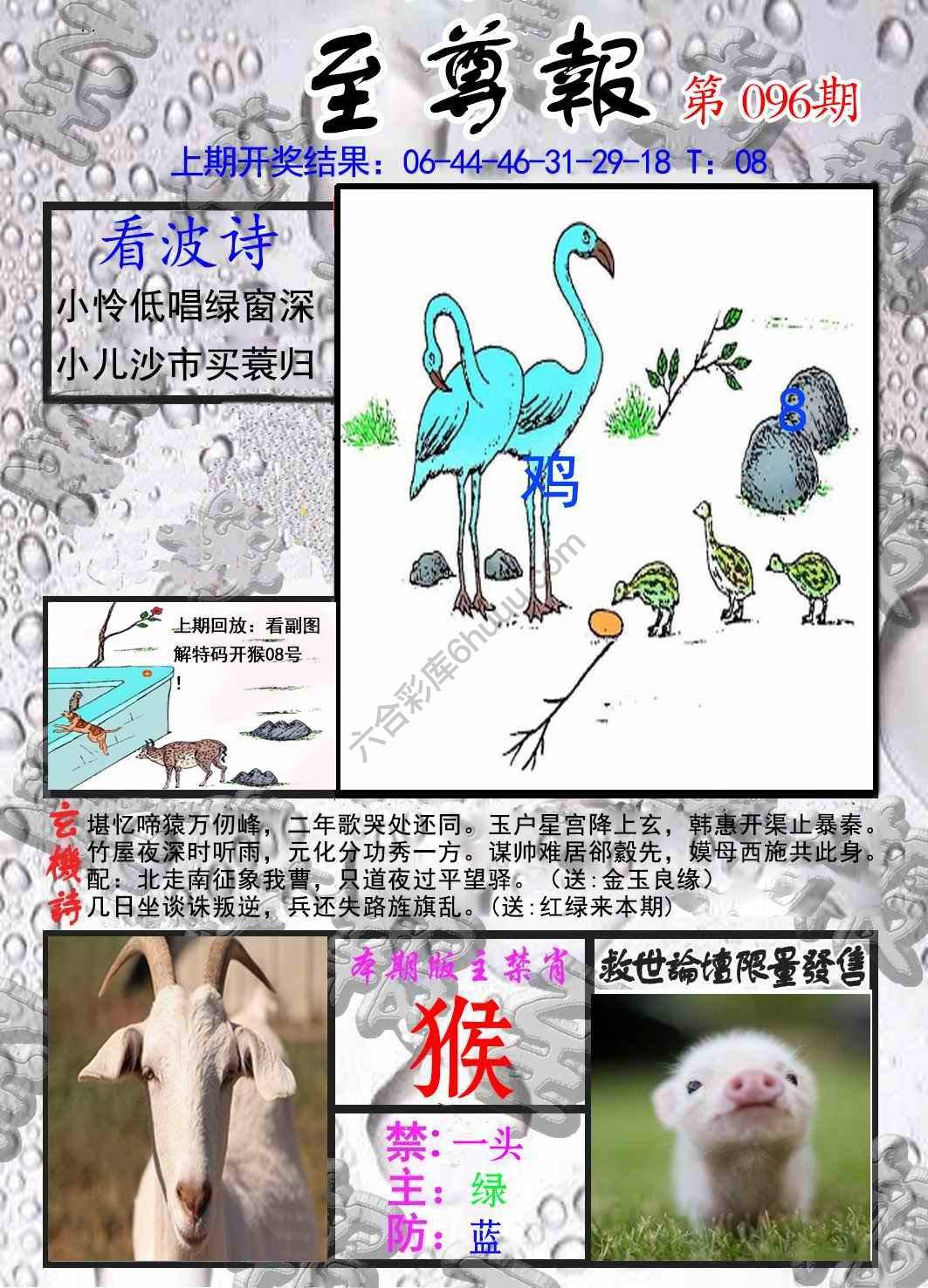 至尊报
