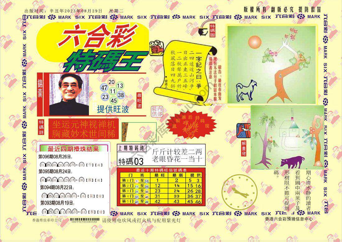 特码王
