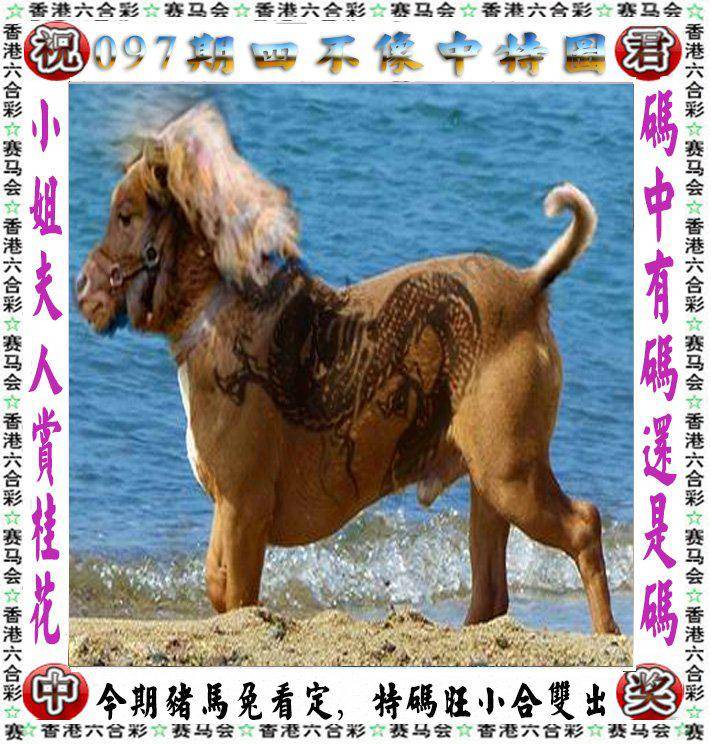 四不像中特图