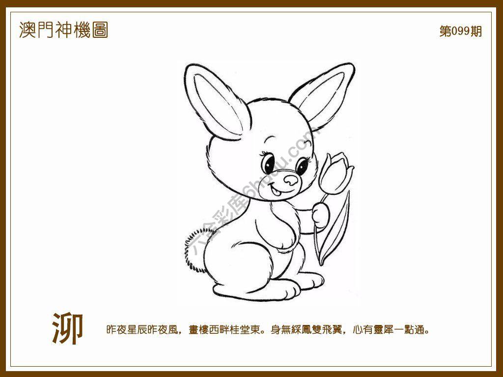 澳门神机图