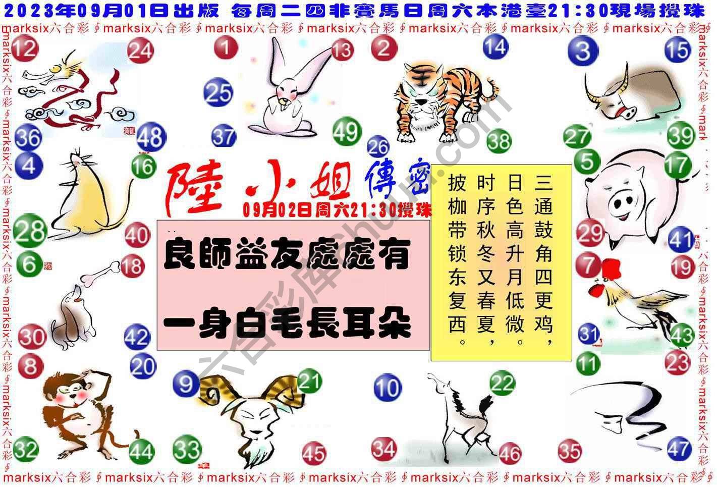 陆小姐传密