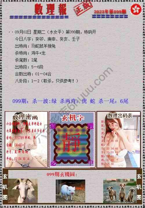数理报
