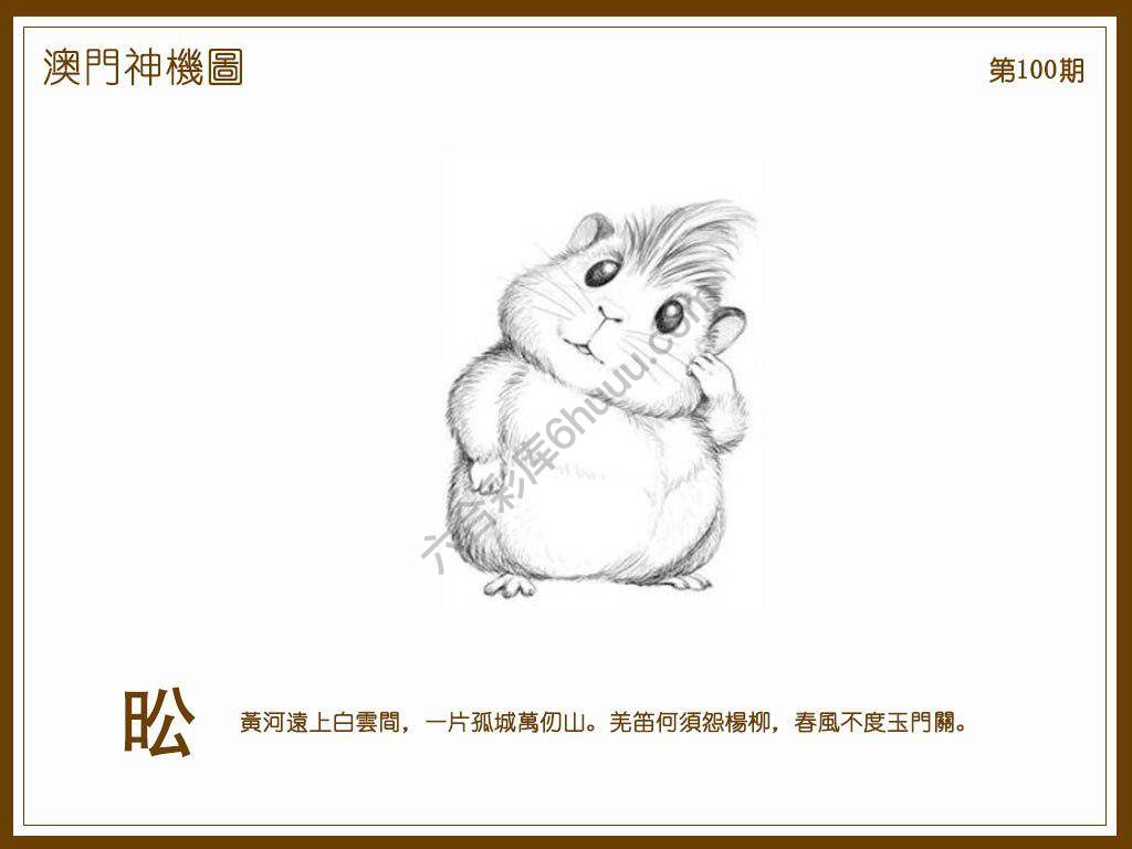 澳门神机图