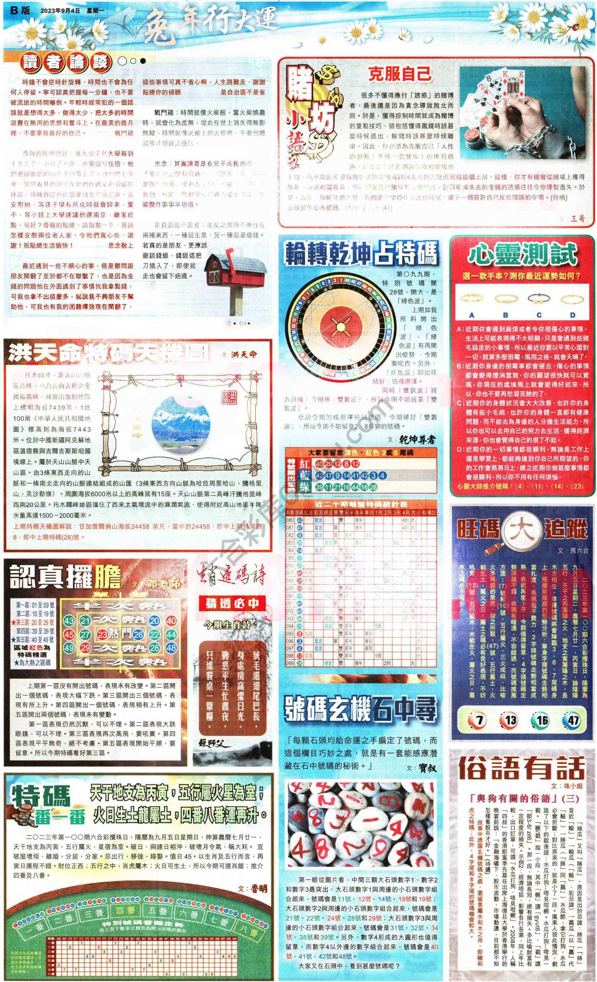 大版贴士皇