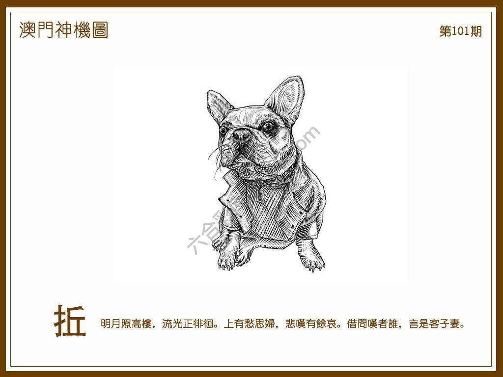 澳门神机图