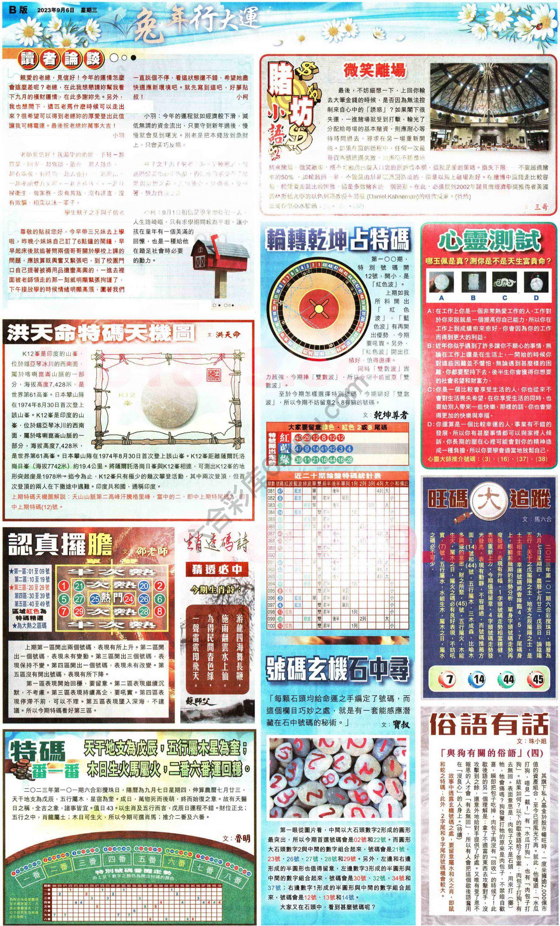 大版贴士皇