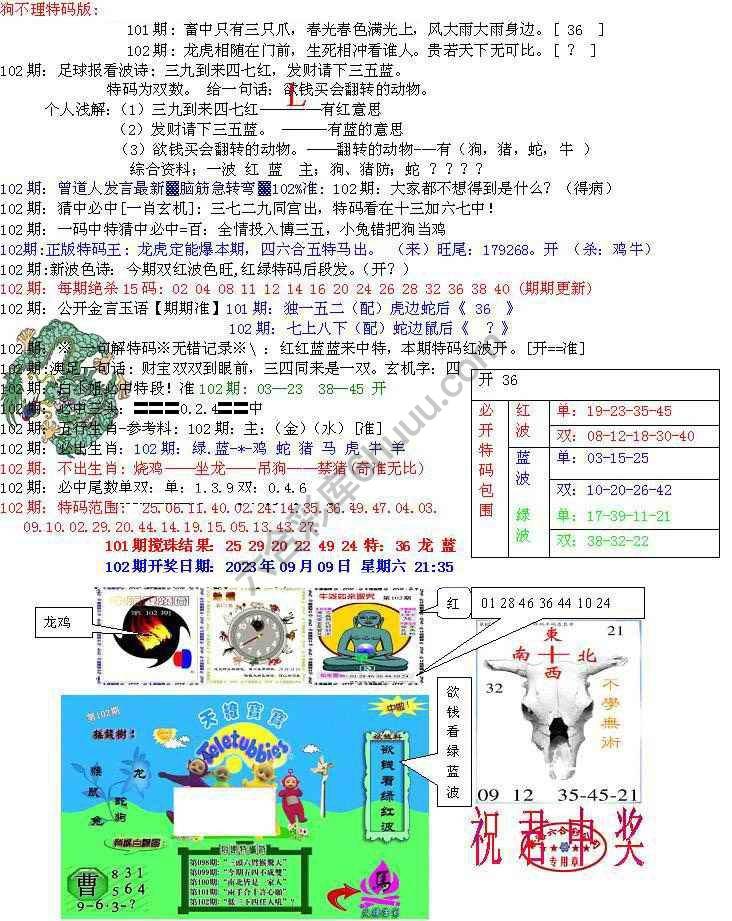 青龙五鬼报
