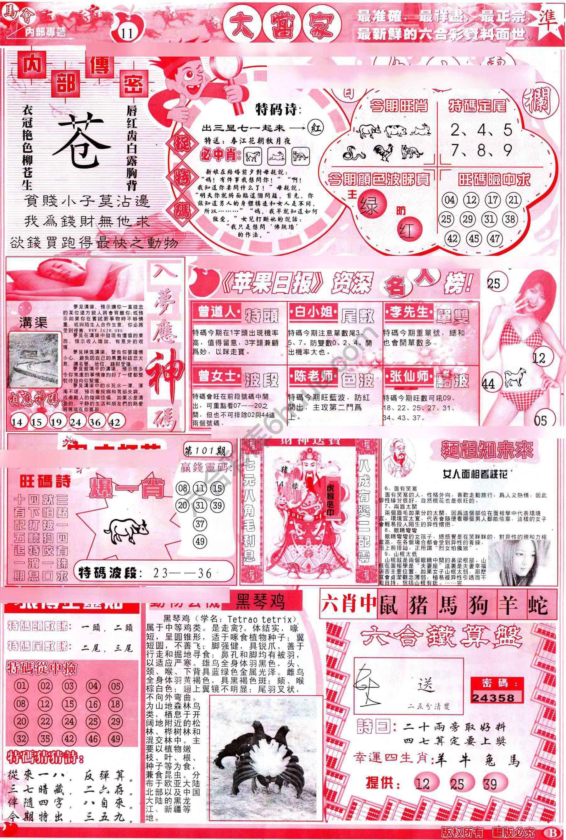 大当家