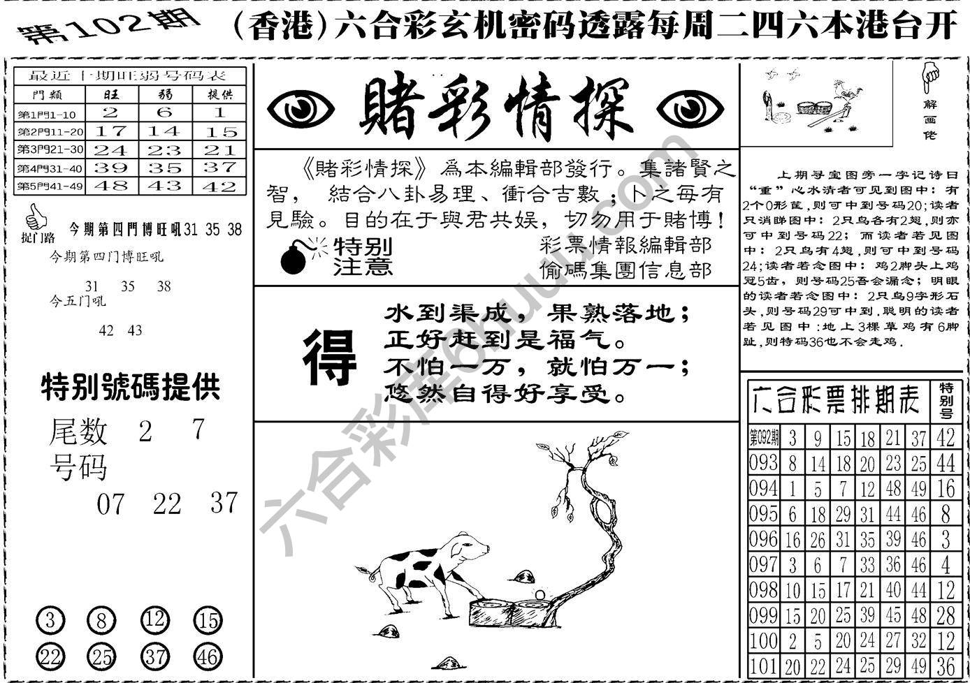 赌彩情探