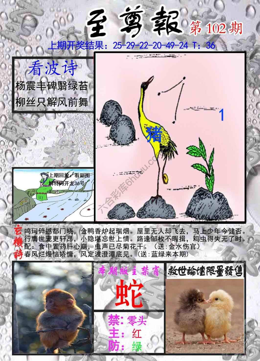 至尊报