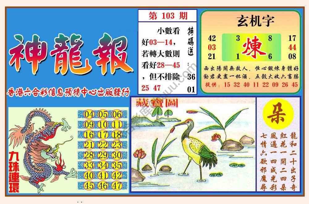 蓝月亮神龙报