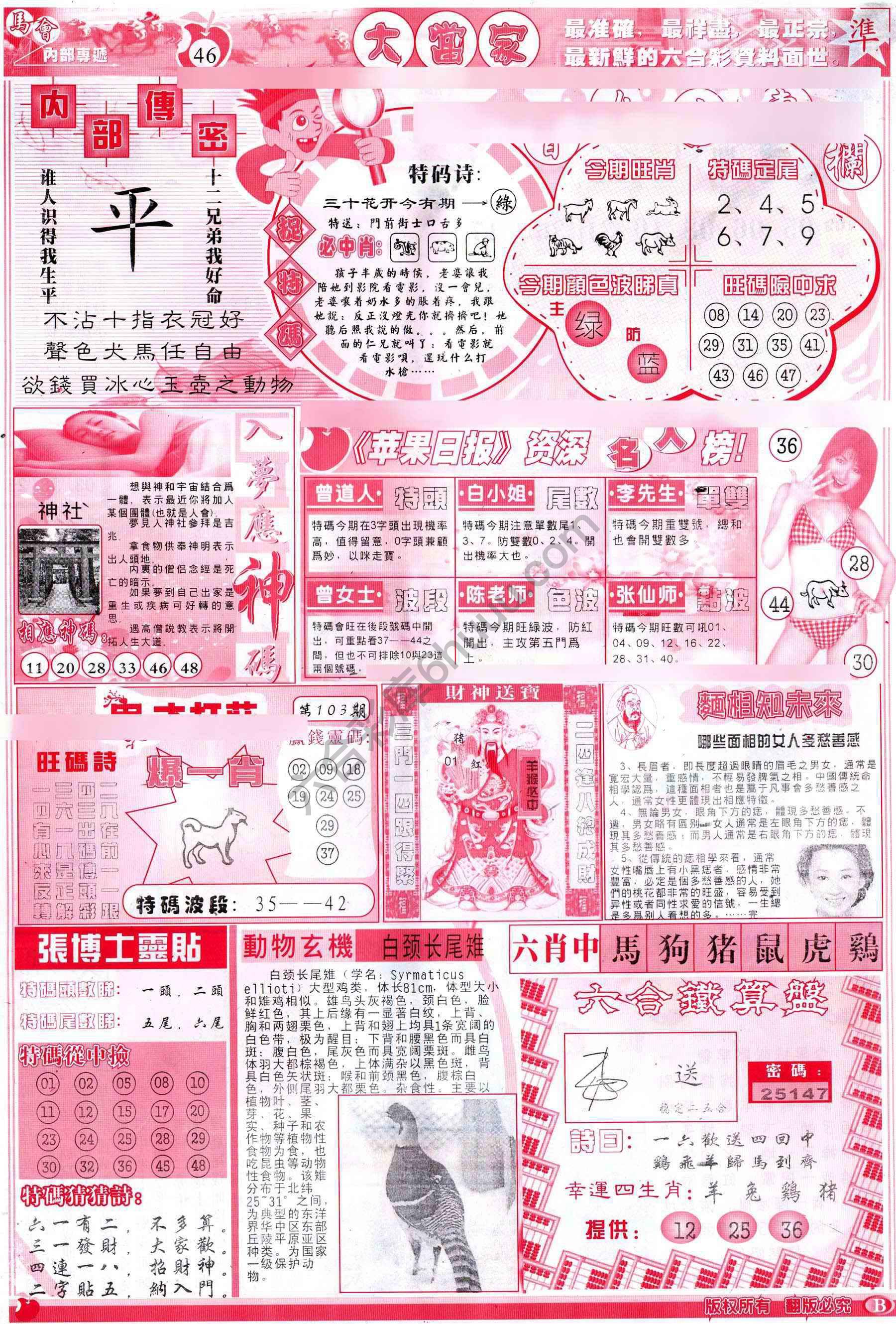 大当家