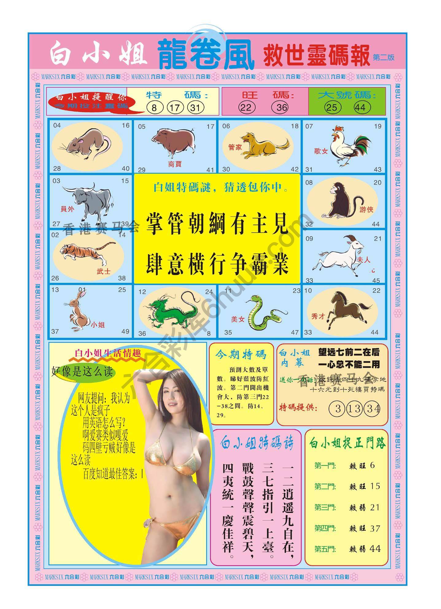 白小姐救世灵码报