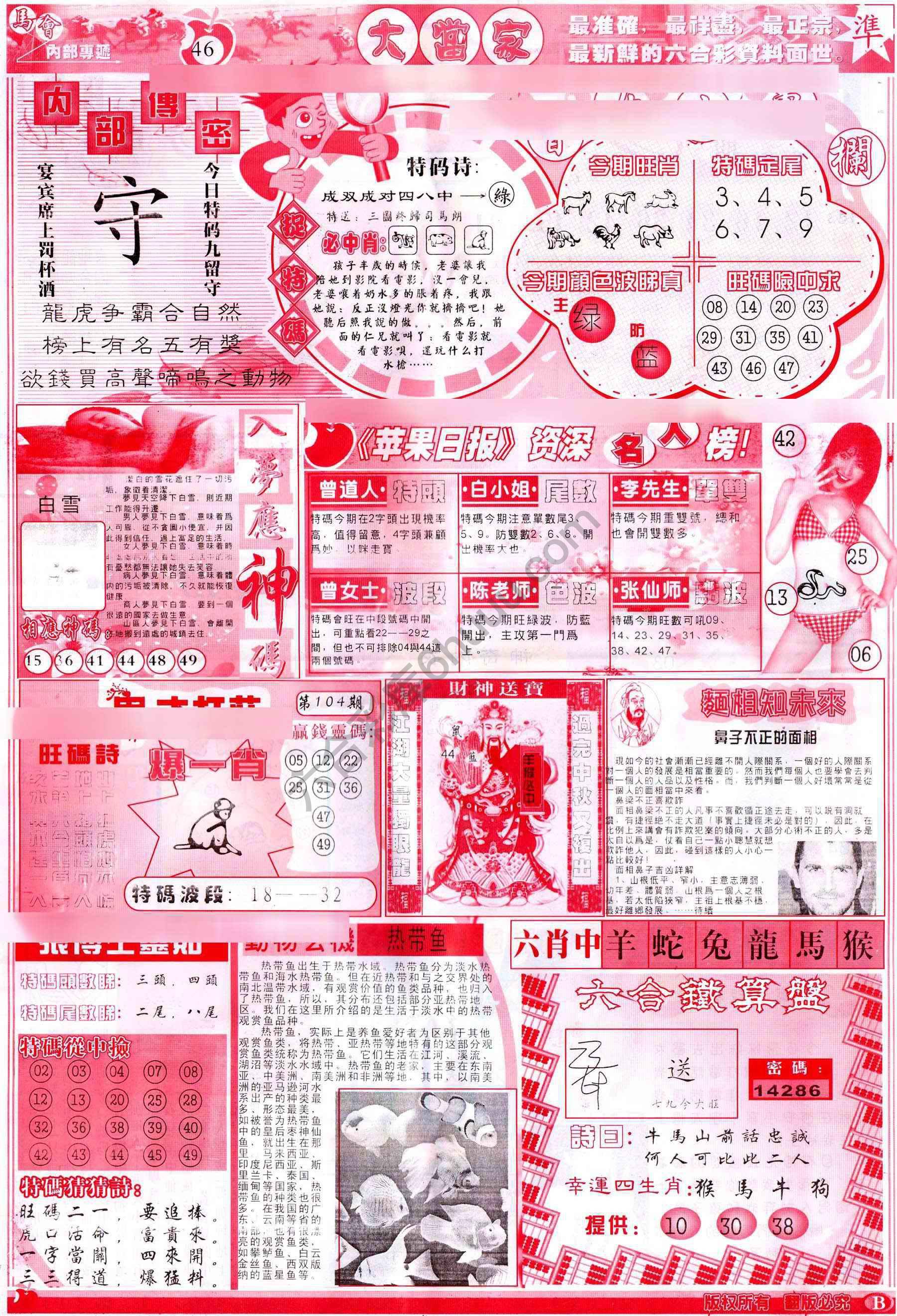 大当家