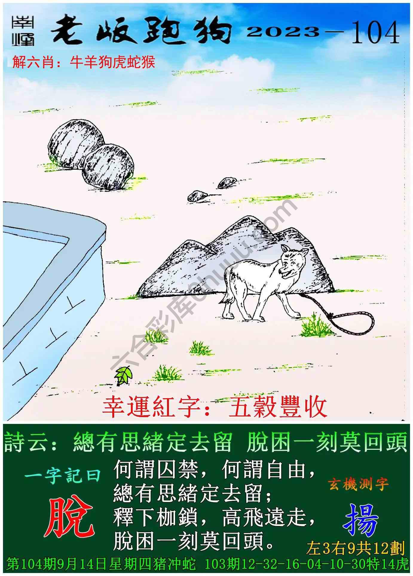 老版跑狗图