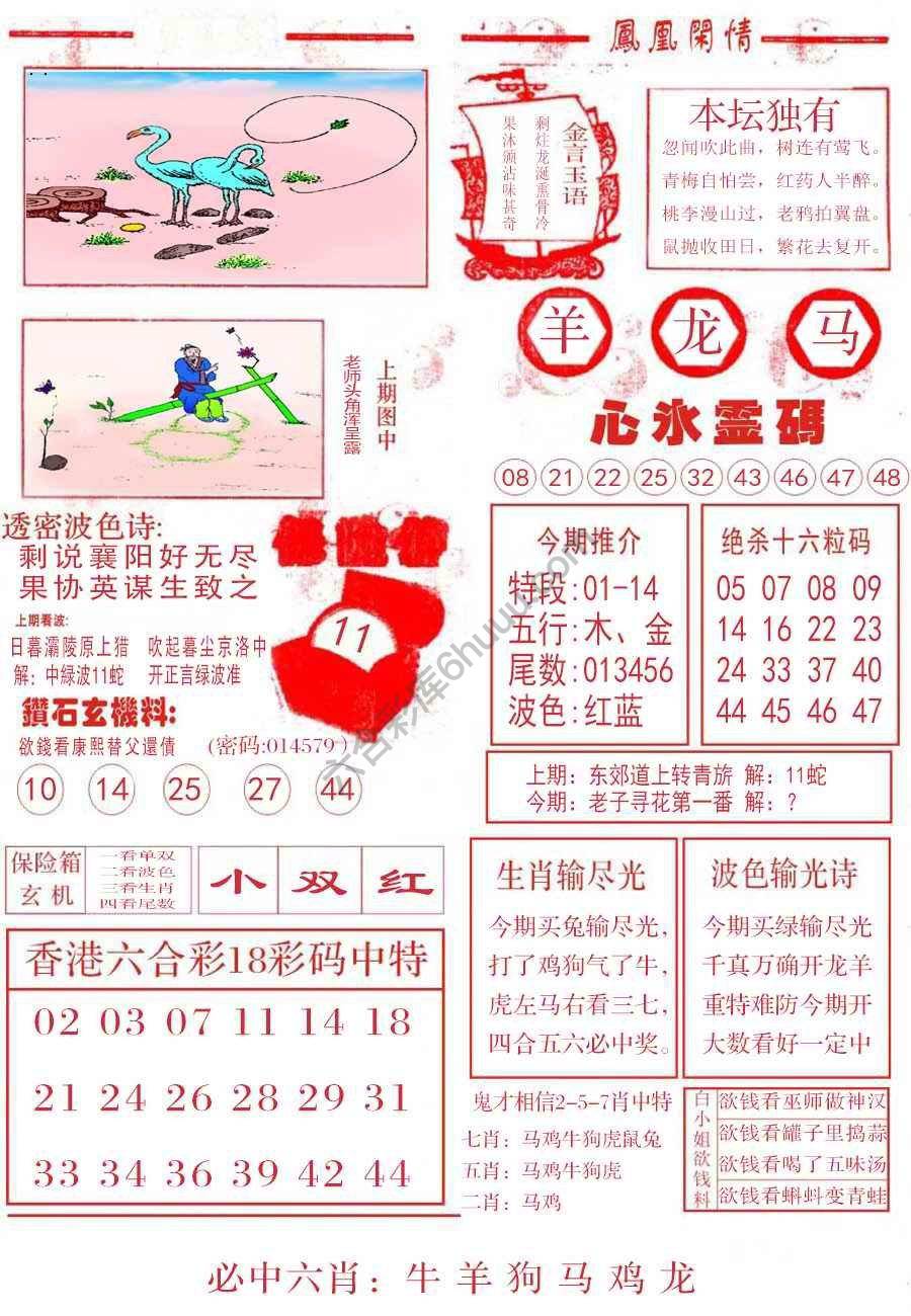 凤凰闲情