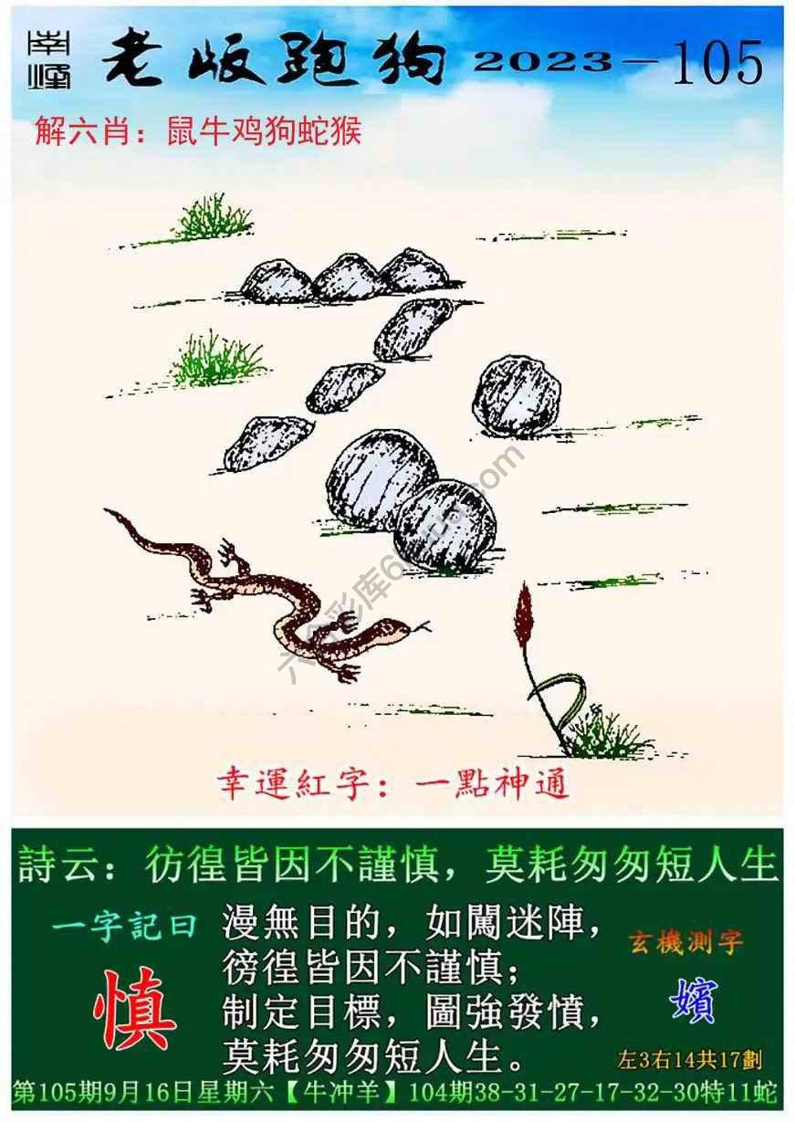 老版跑狗图