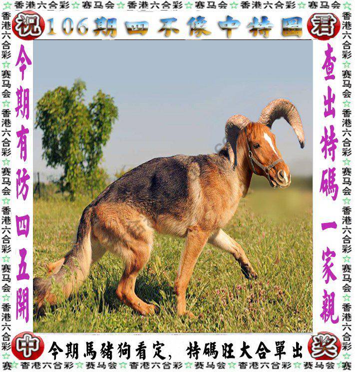 四不像中特图