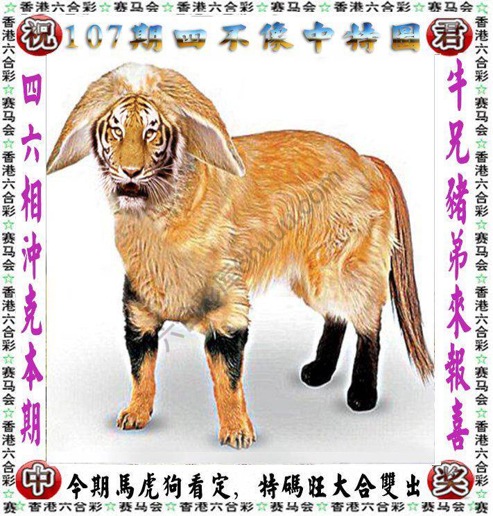 四不像中特图