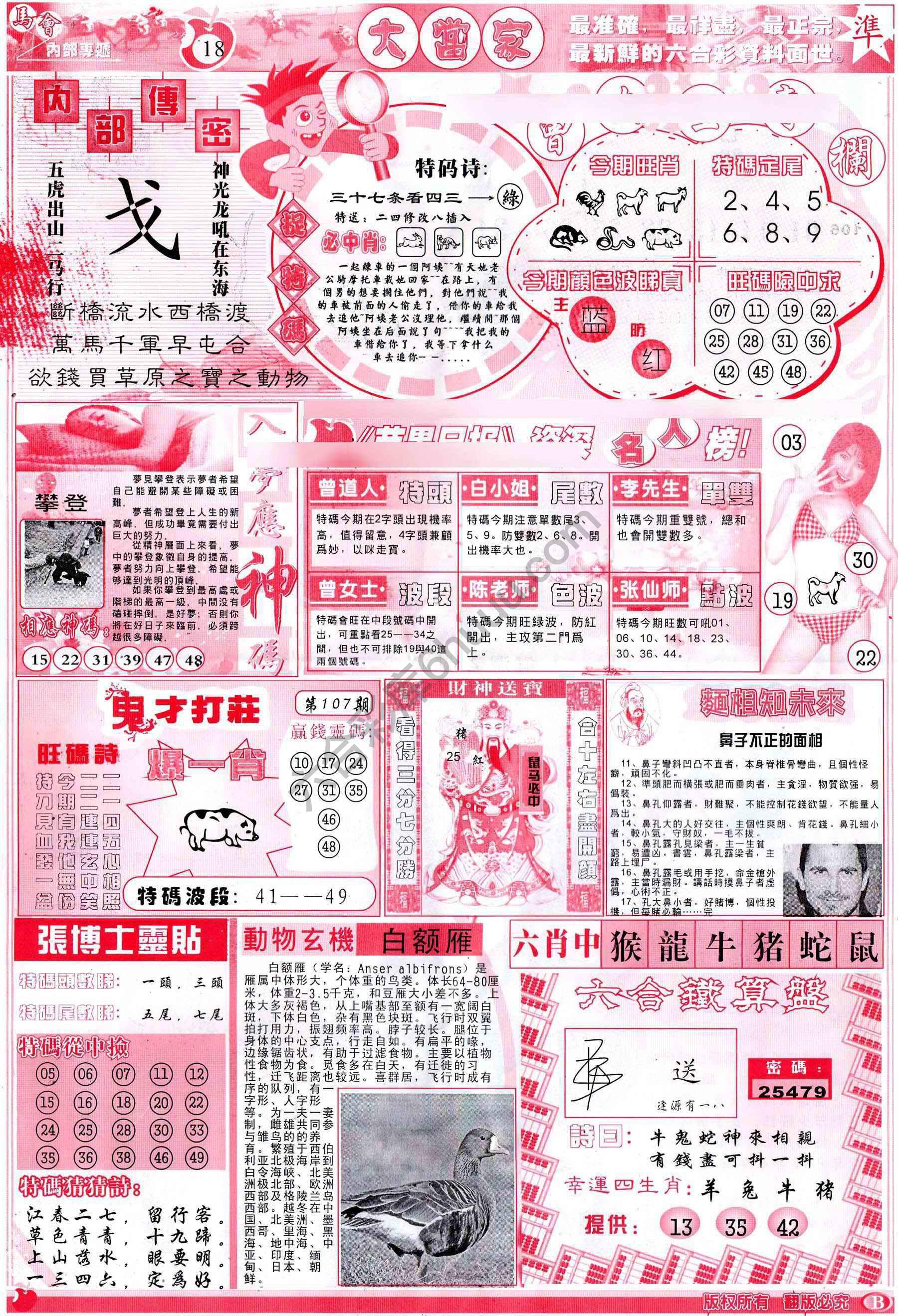 大当家