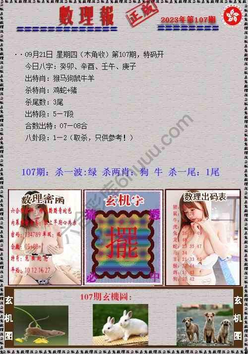 数理报