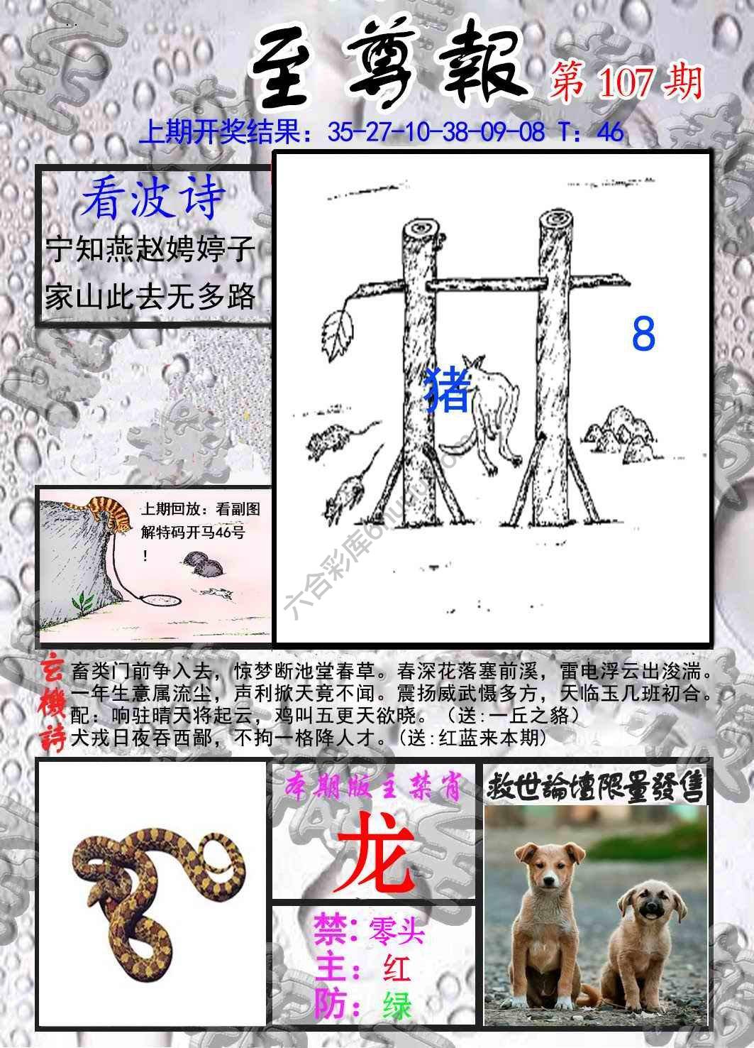 至尊报