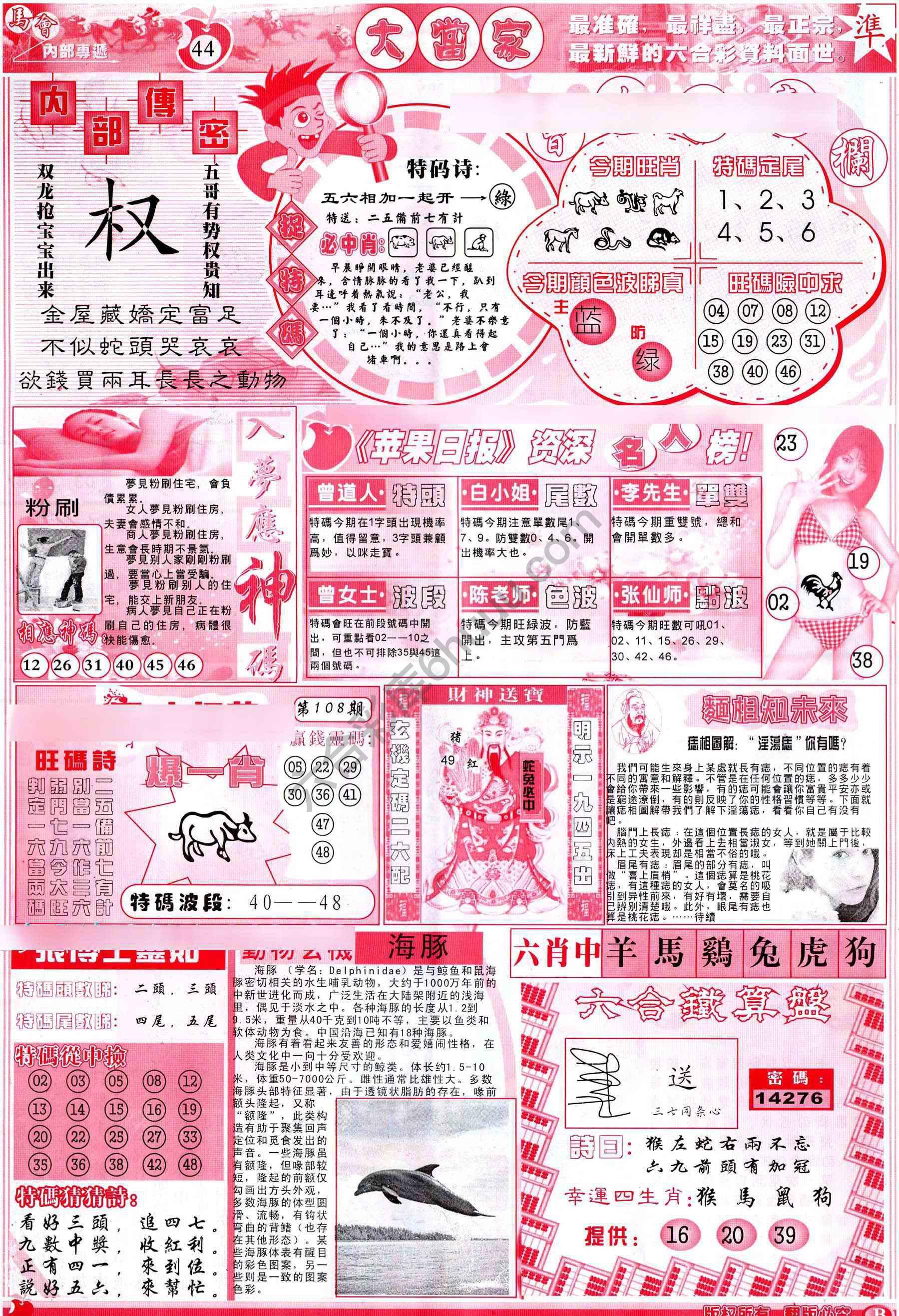 大当家