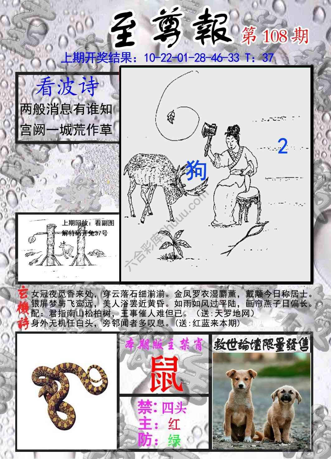至尊报