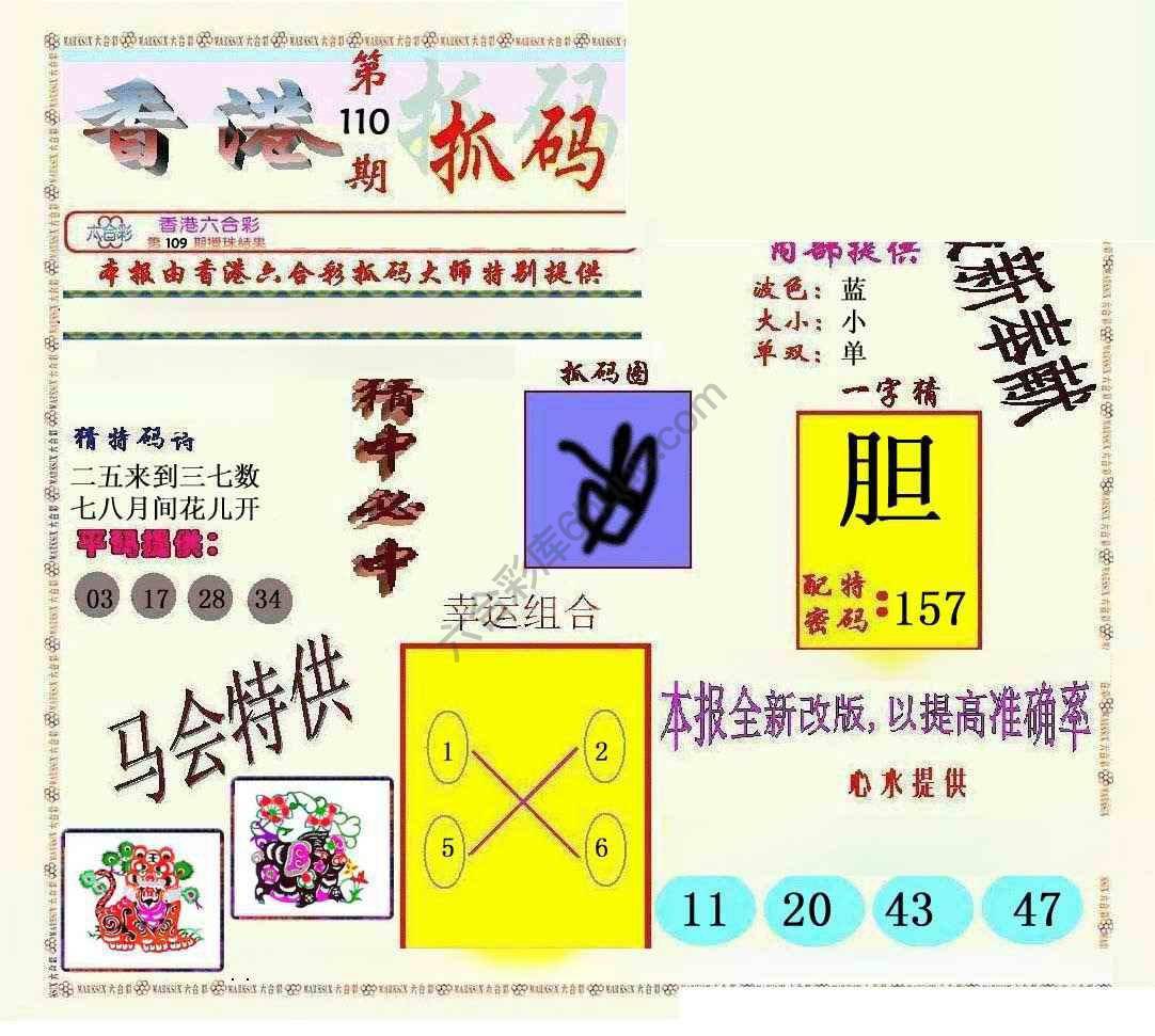 新抓码王