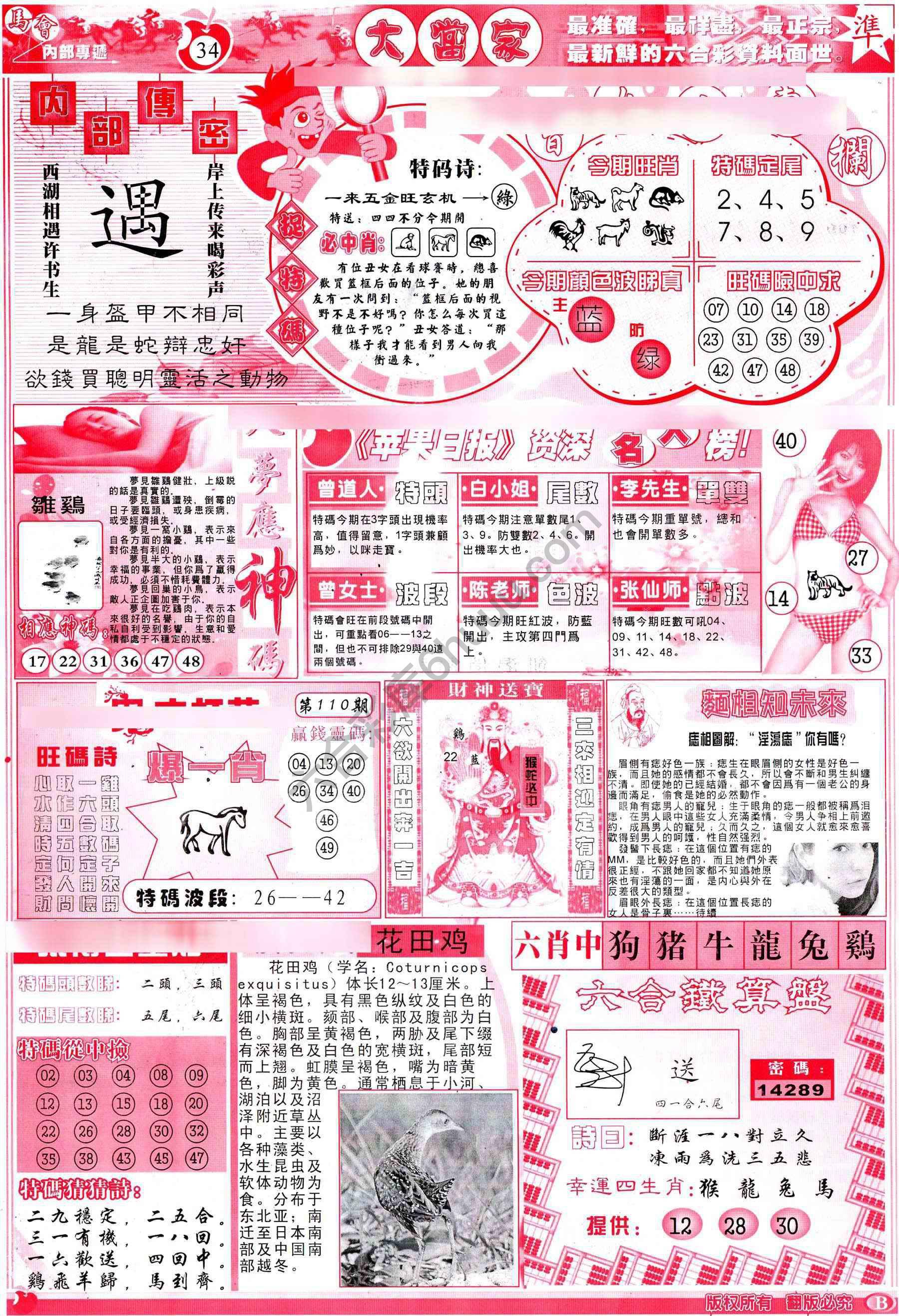大当家