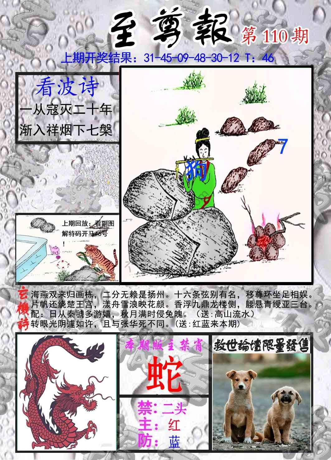 至尊报