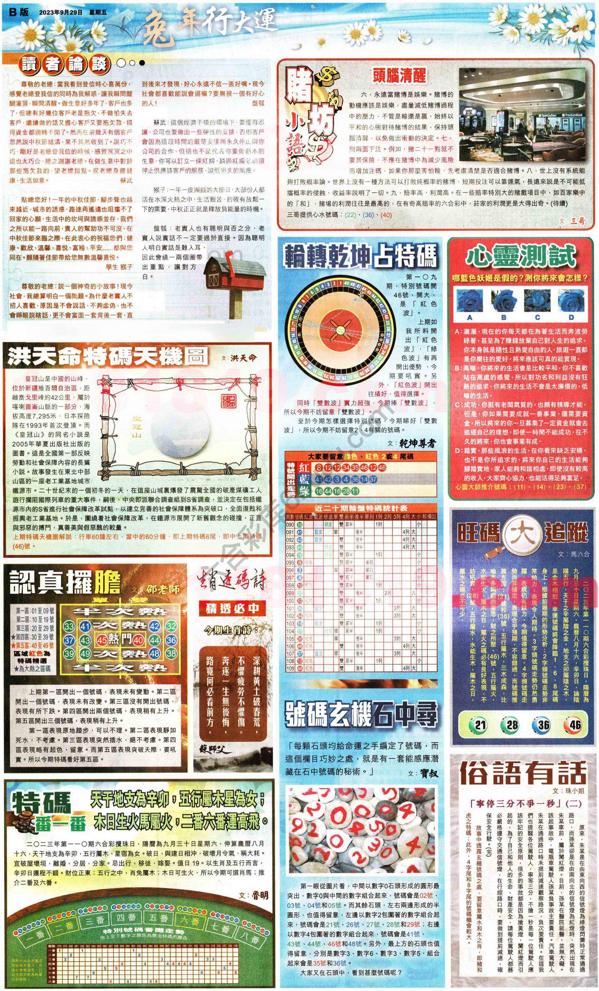 大版贴士皇