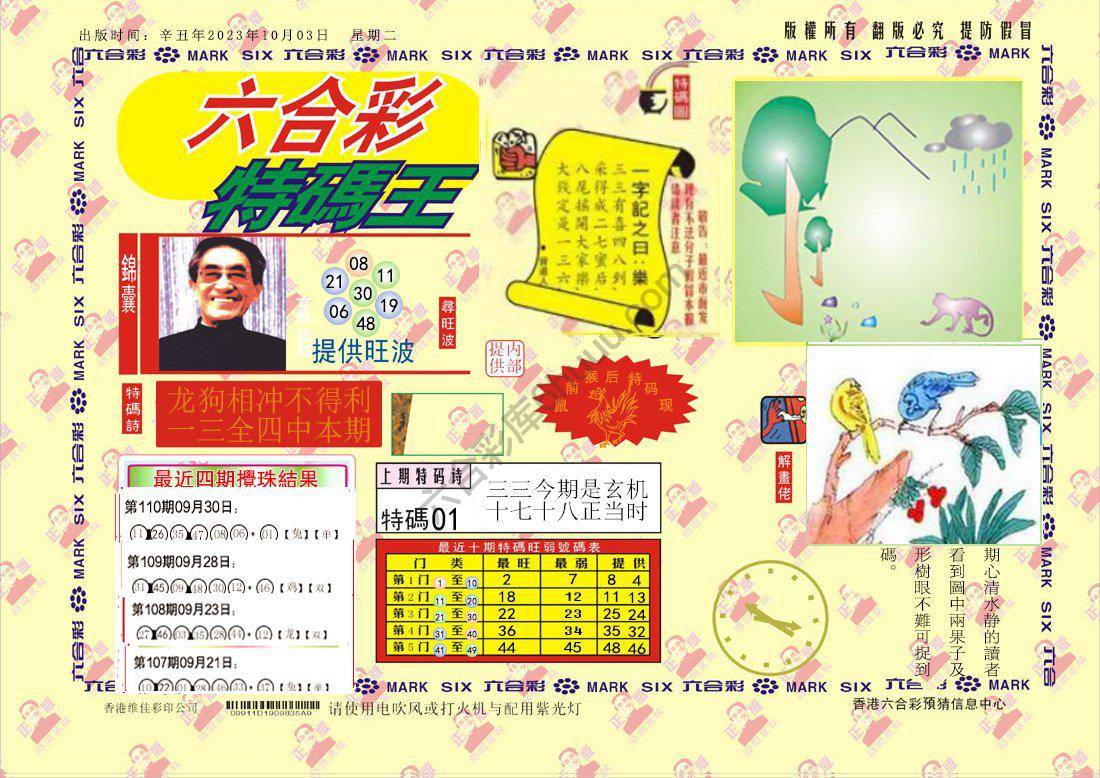 特码王