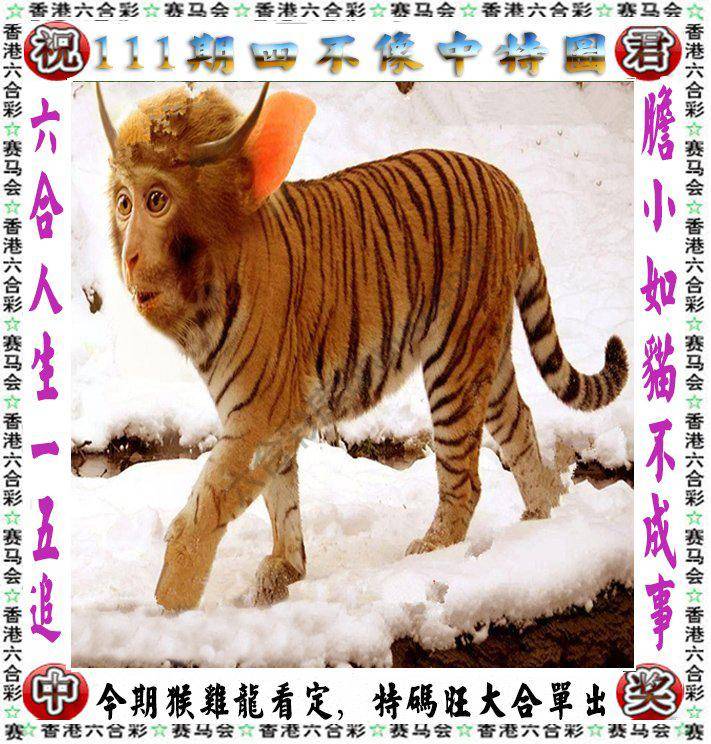 四不像中特图