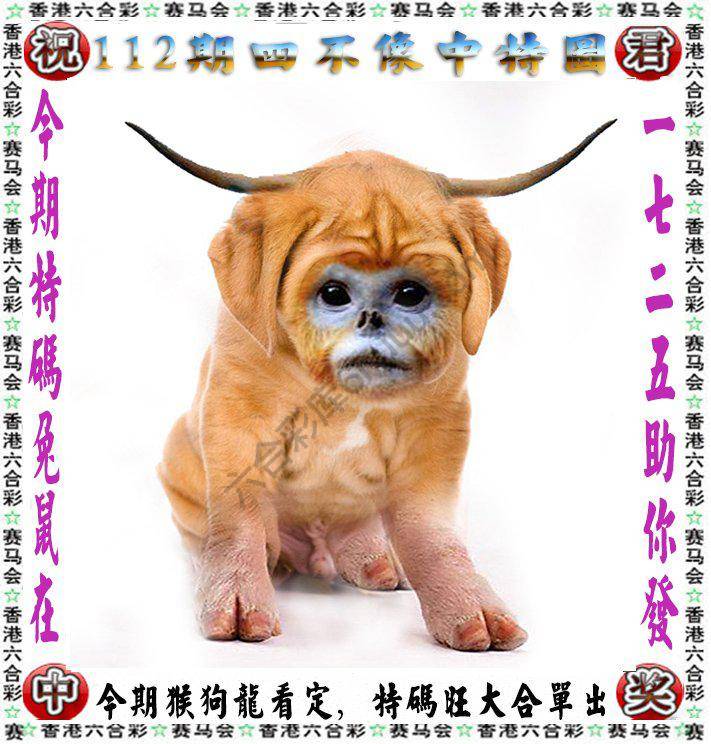 四不像中特图