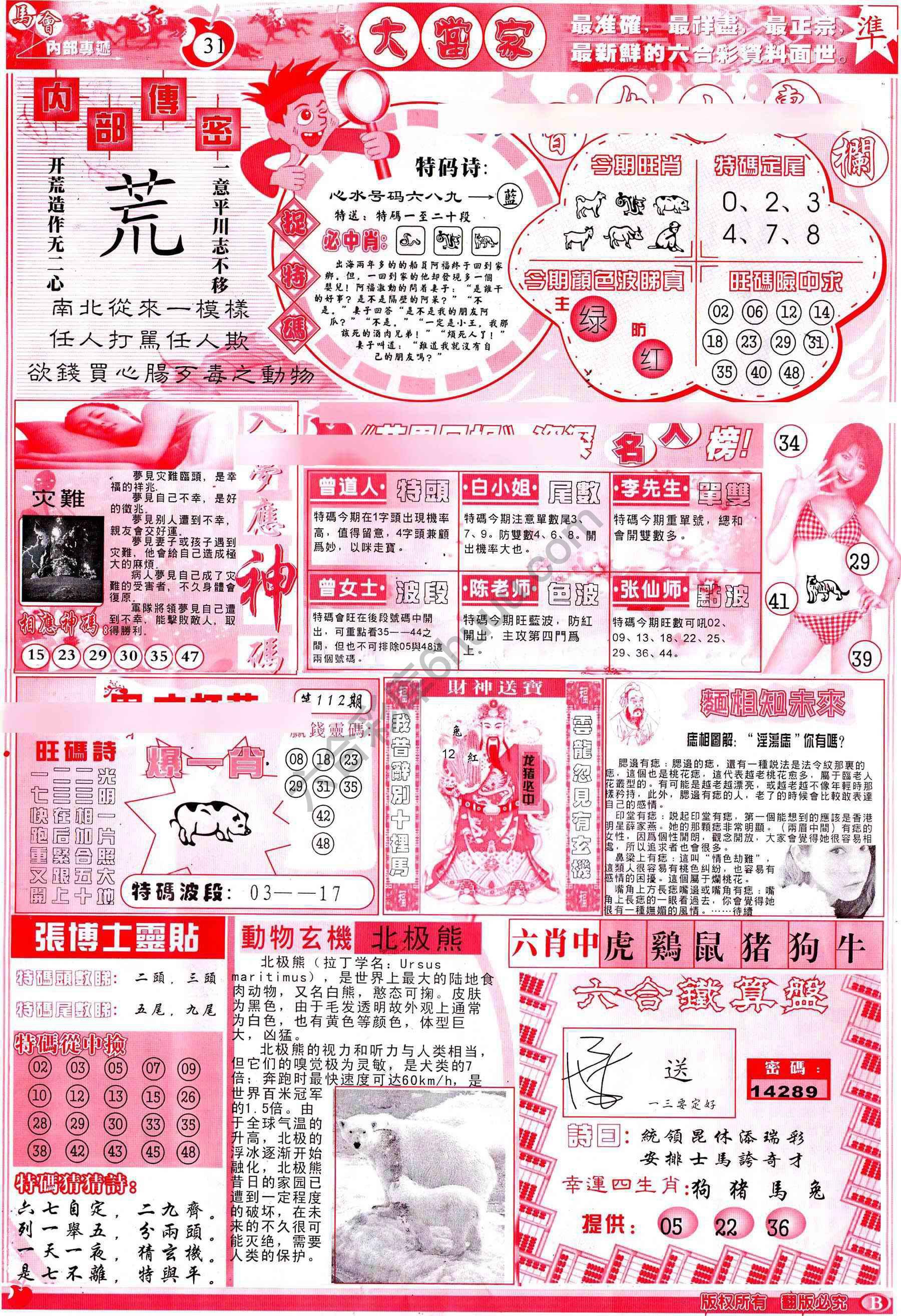 大当家