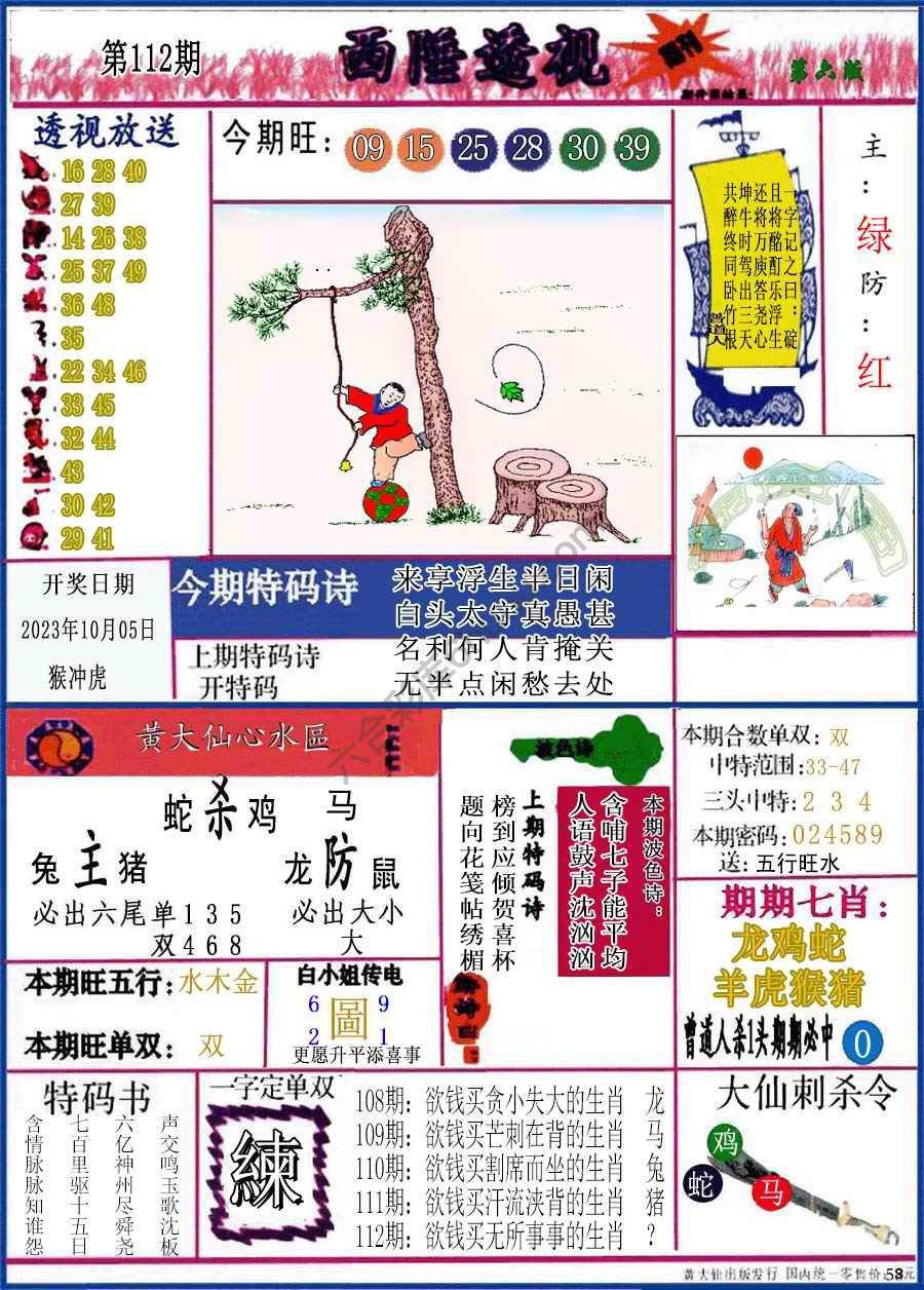 西陲透视（正版）