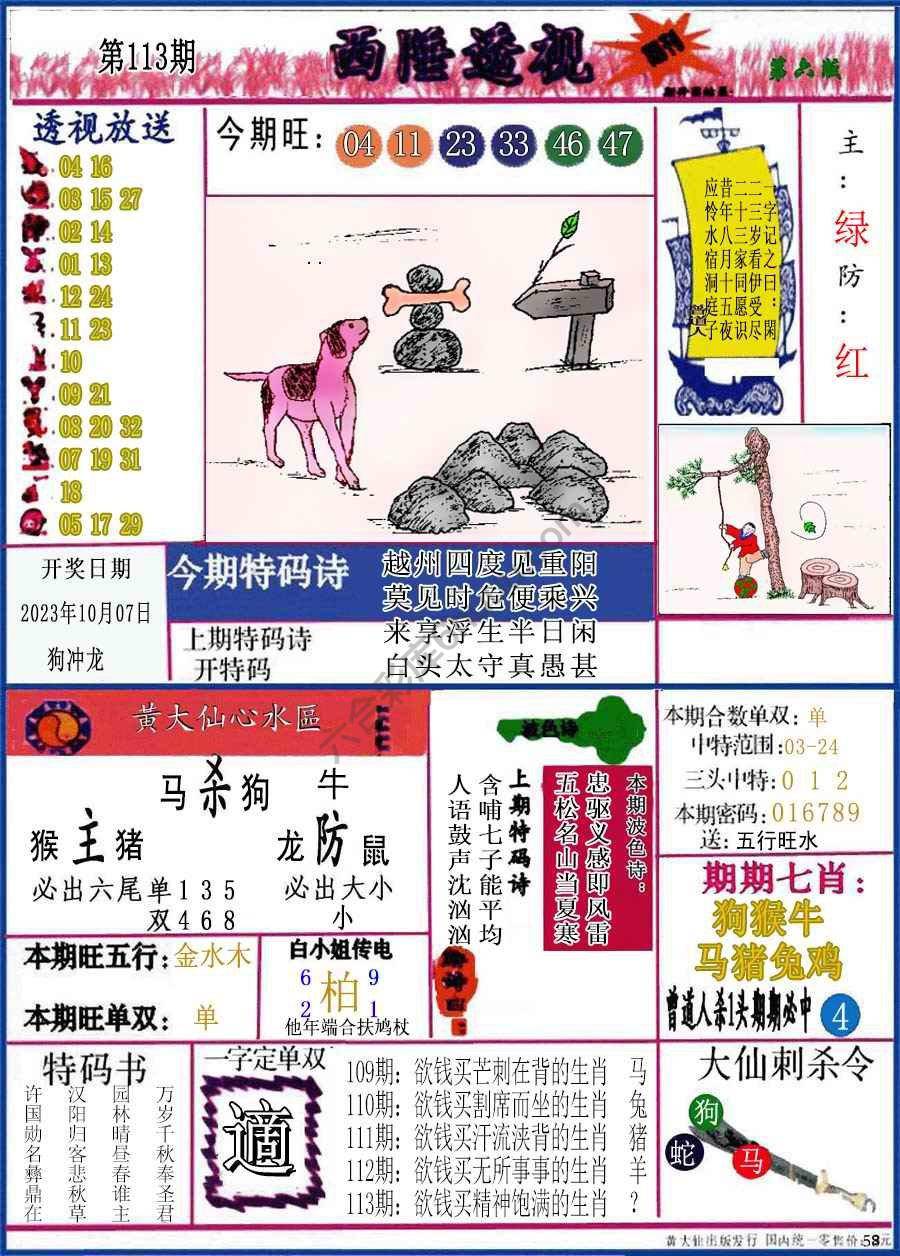西陲透视（正版）