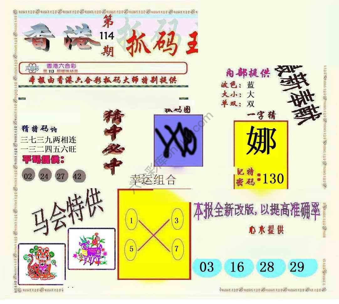 新抓码王