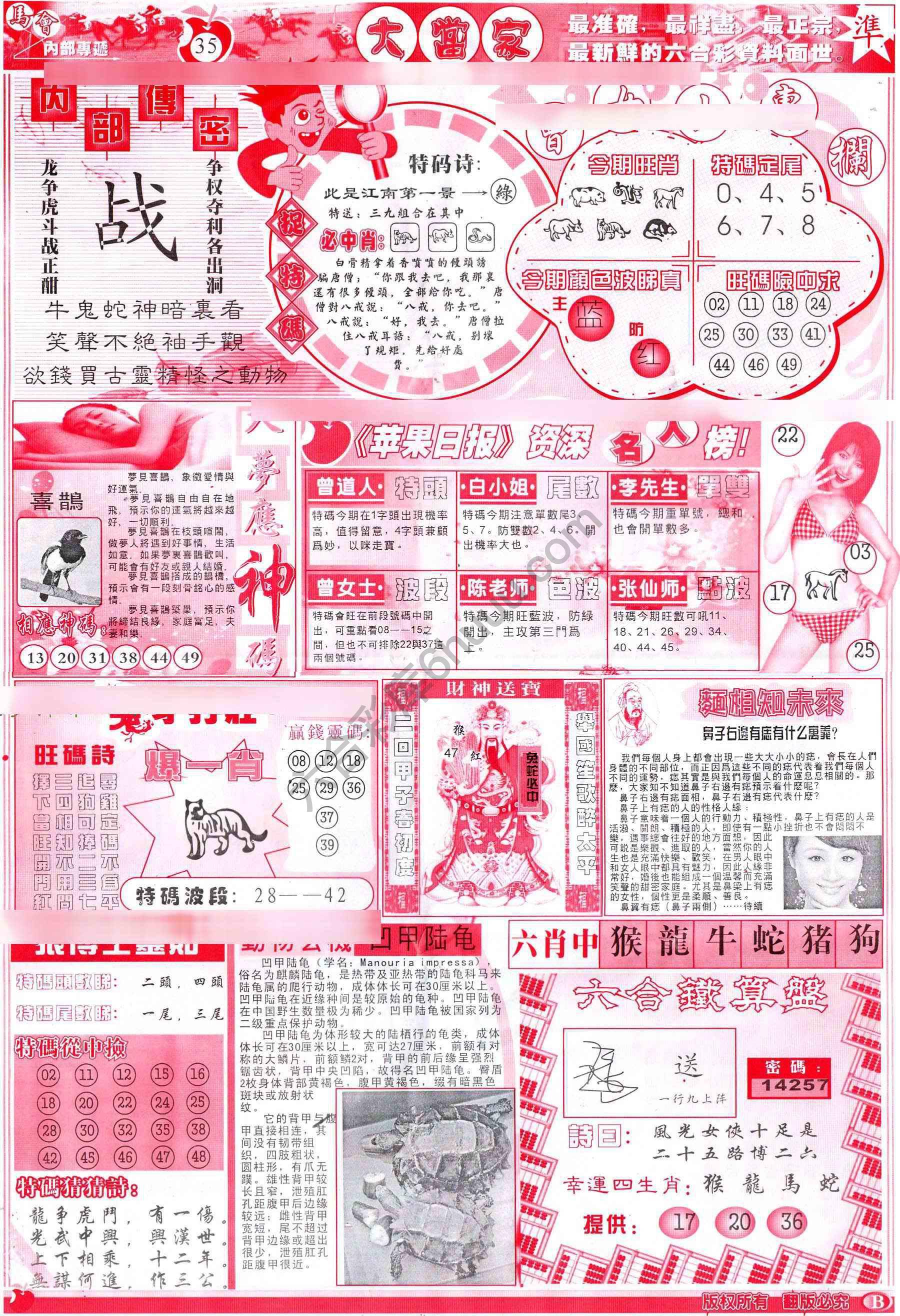 大当家